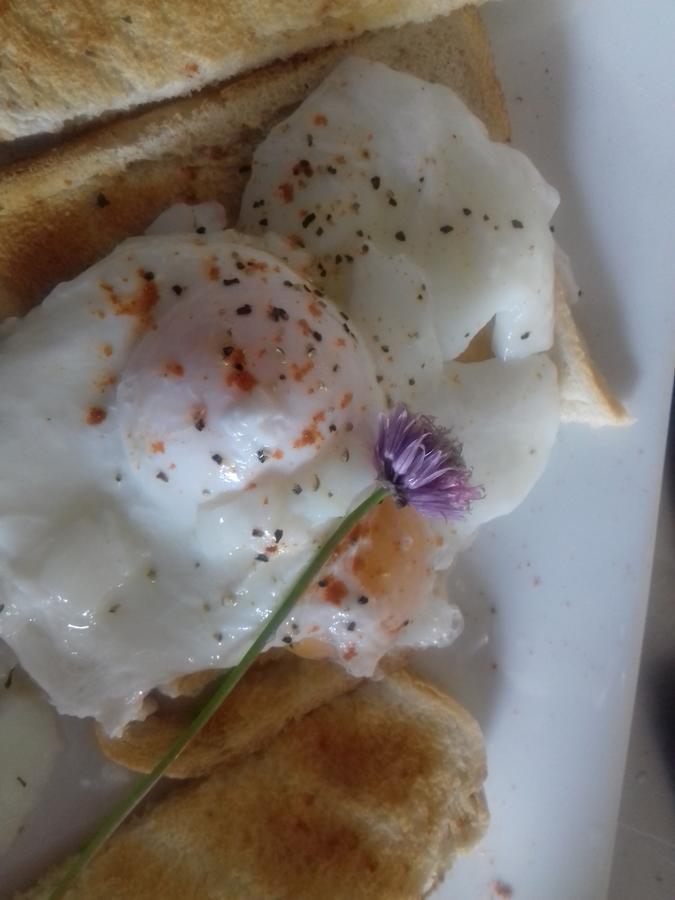 مبيت وإفطار لونغفورد Westhouse Cafe N39 E0A6 المظهر الخارجي الصورة